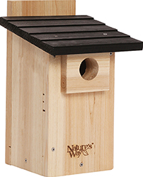 BLUEBIRD VIEWING HOUSE