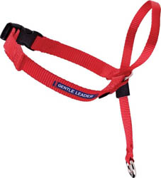 GENTLE LEADER HEADCOLLAR