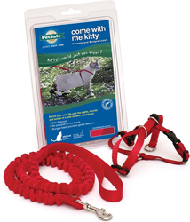 COME WITH ME KITTY HARNESS & BUNGEE LEASH