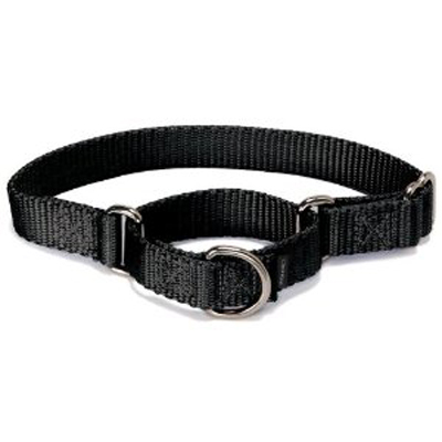 MARTINGALE COLLAR