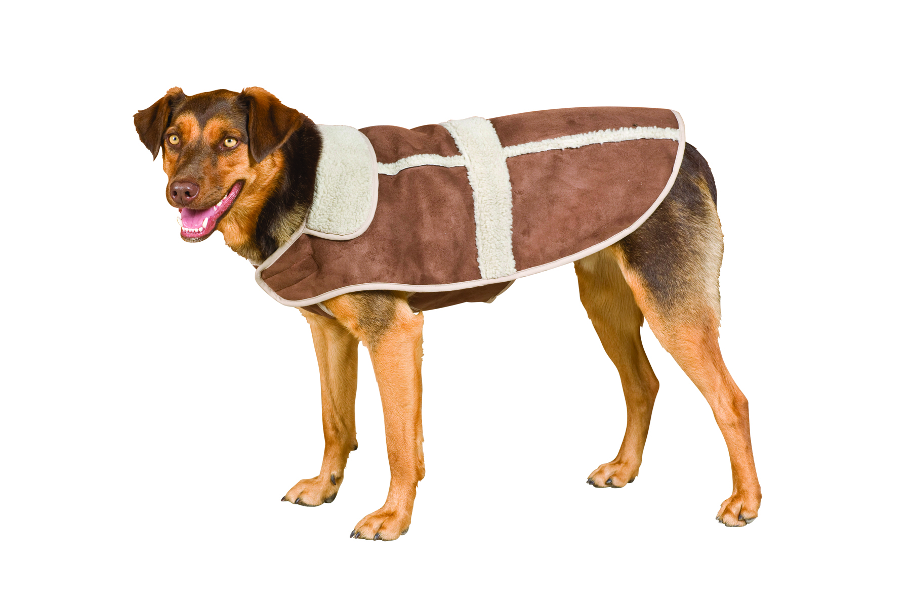 WEATHERBEETA MOLESKIN DOG RUG