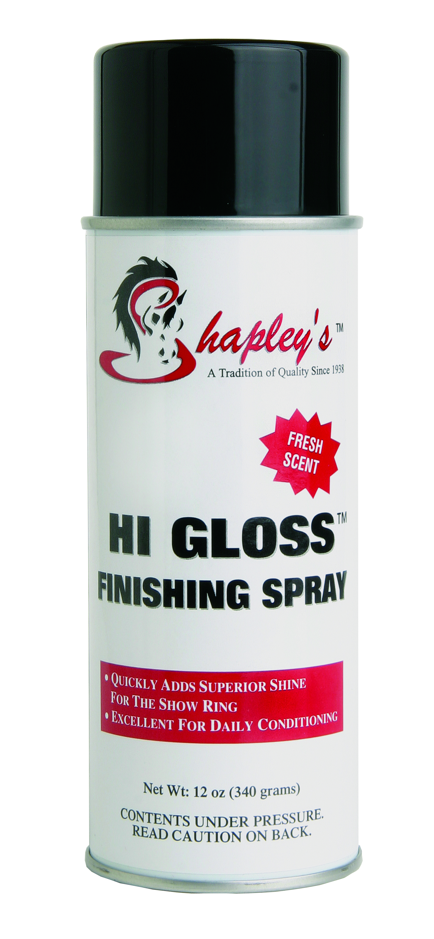 HI GLOSS FINISHING SPRAY