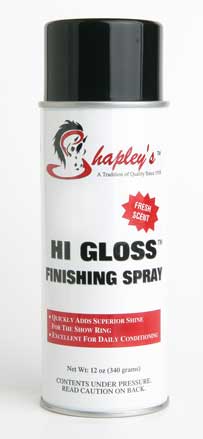 HI GLOSS FINISHING SPRAY