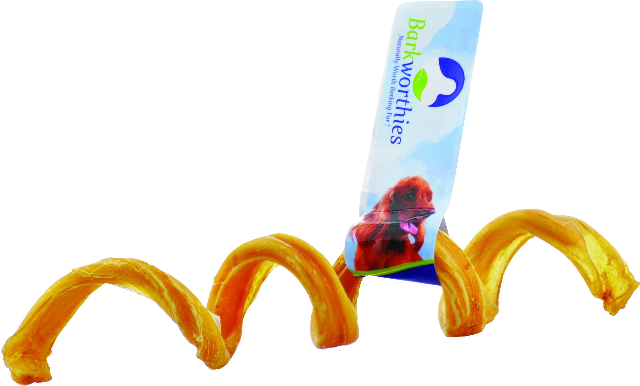 BULLY CURLY BULLY STICKS
