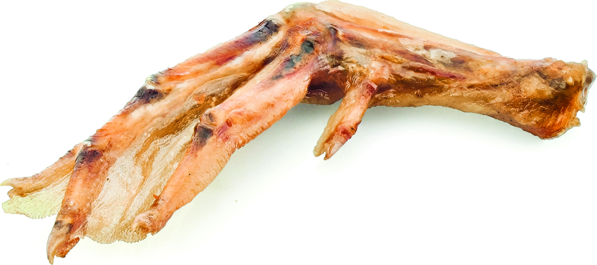 USA DUCK FEET BULK