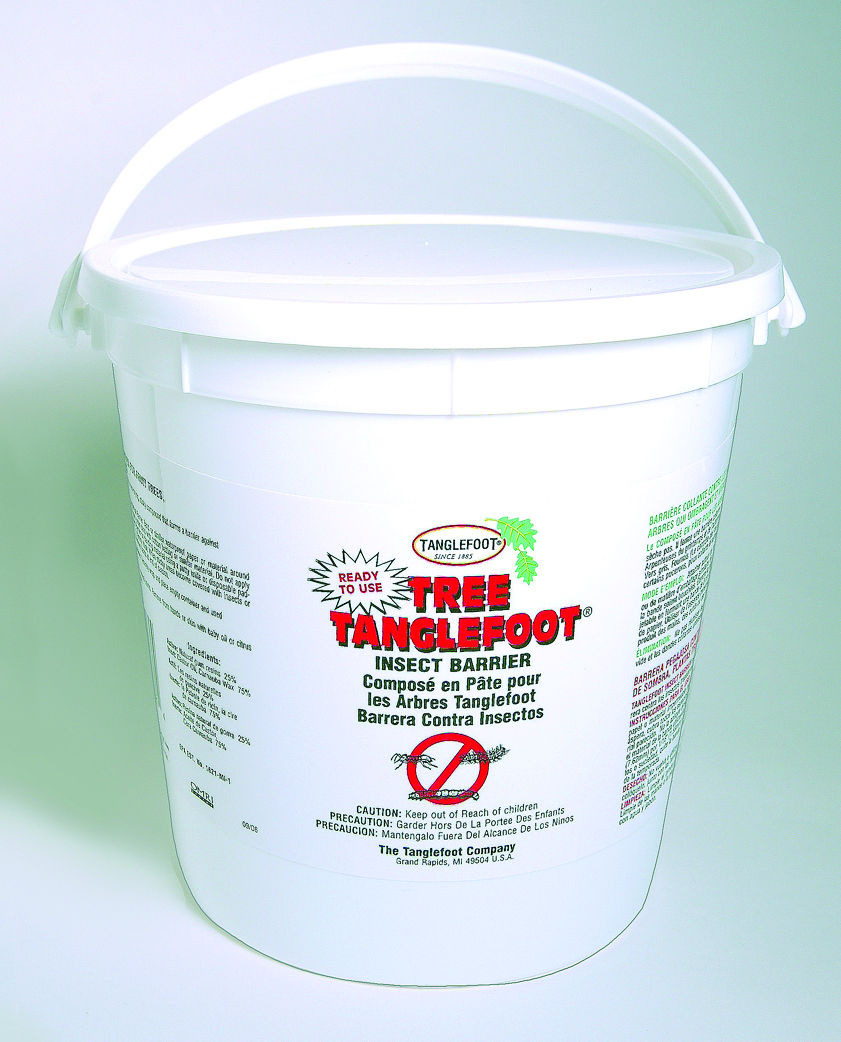 Tree Tanglefoot Pest Barrier - 5Lbs.