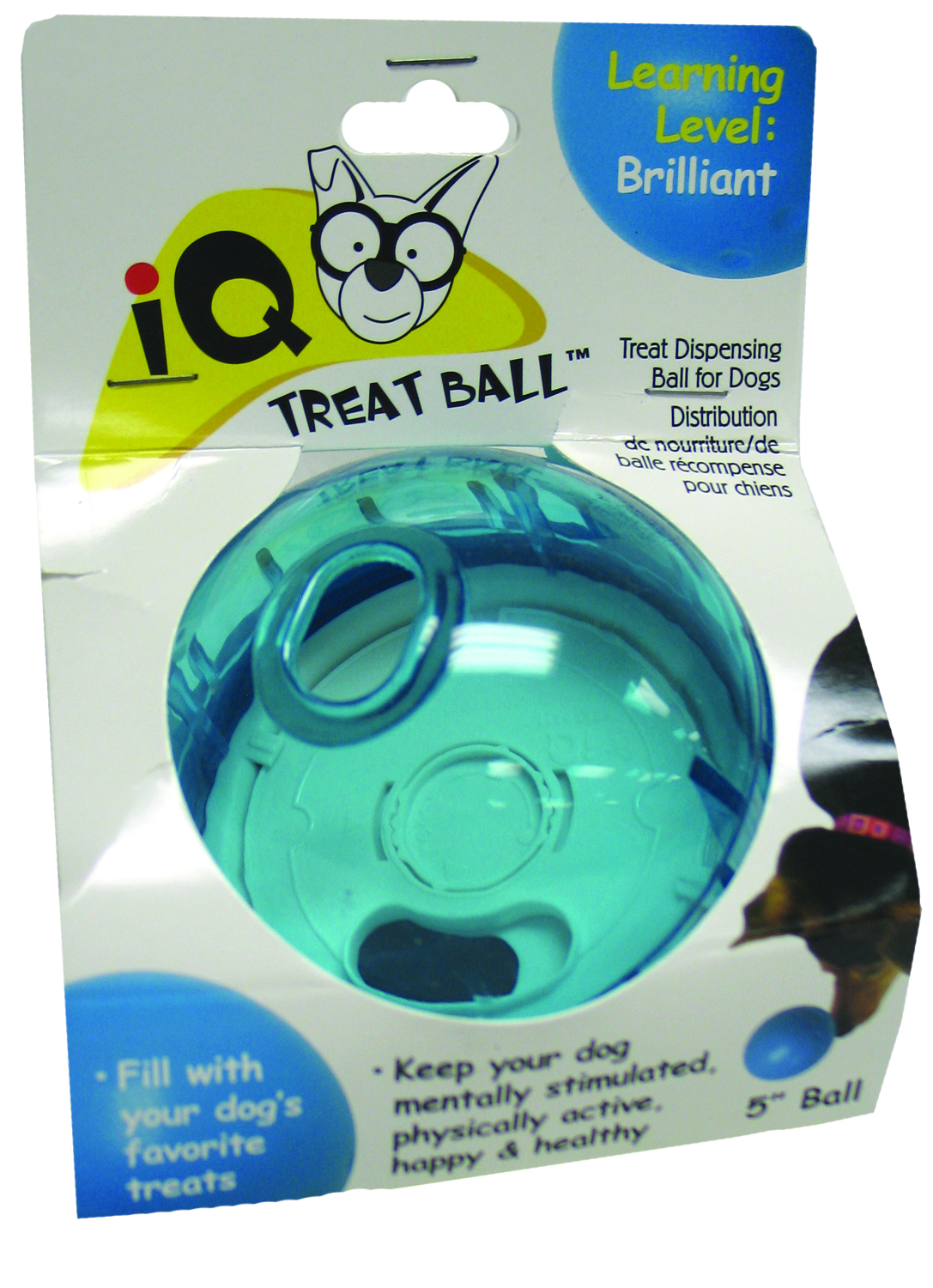 IQ BALL
