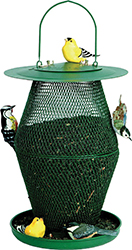 Green Lantern No/No Bird Feeder