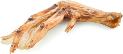 USA DUCK FEET BULK