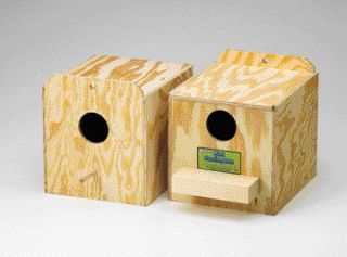 Lovebird nesting box - reversed