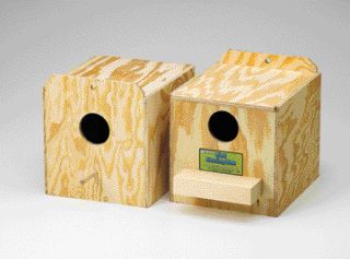 Finch nesting box - reversed