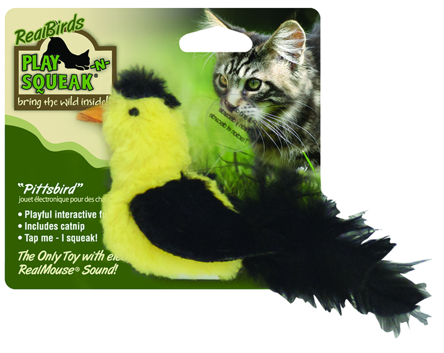 REALBIRDS PLAY-N-SQUEAK - PITTSBIRD