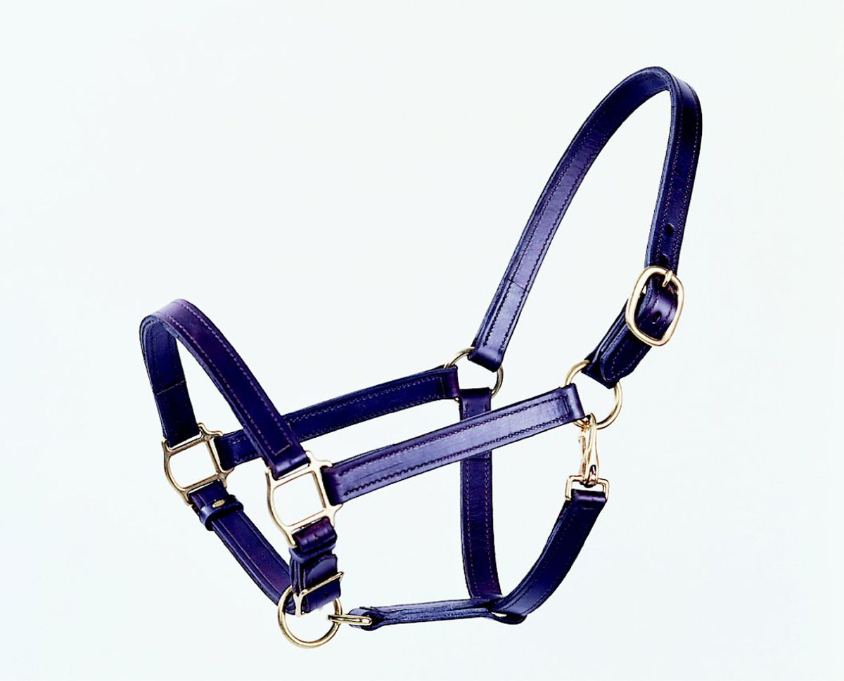 Leather Halter