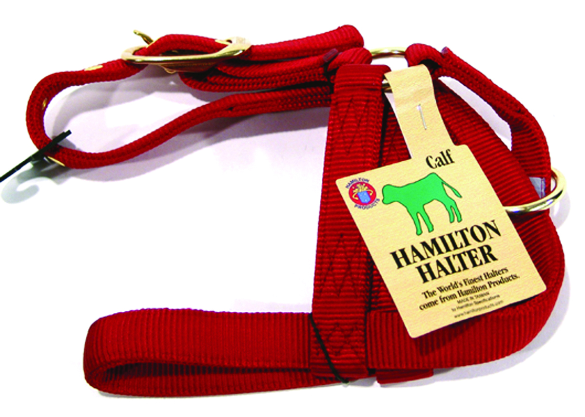 Turnout Halter - Calf Red