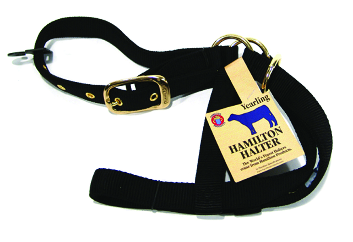 Halter Yearling Turnout - Black