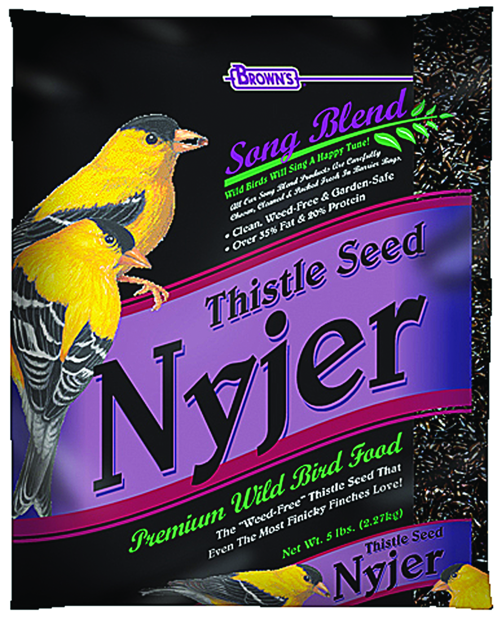 Thistle Seed