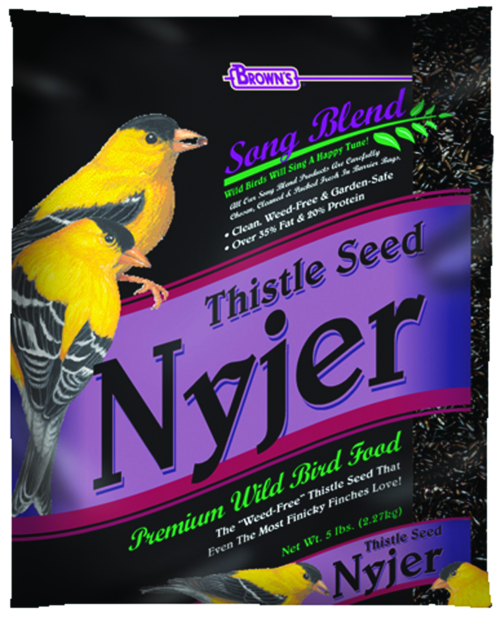 Thistle Seed