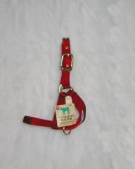 Turnout Halter - Calf Red