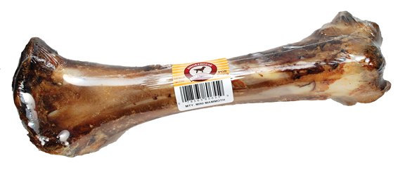 Meaty Mini-Mammoth Bone