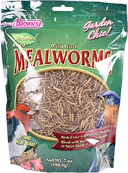 MEALWORM FIXINS TUB