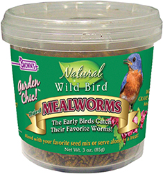 MEALWORM FIXINS TUB