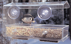 Buffet Bird Feeder