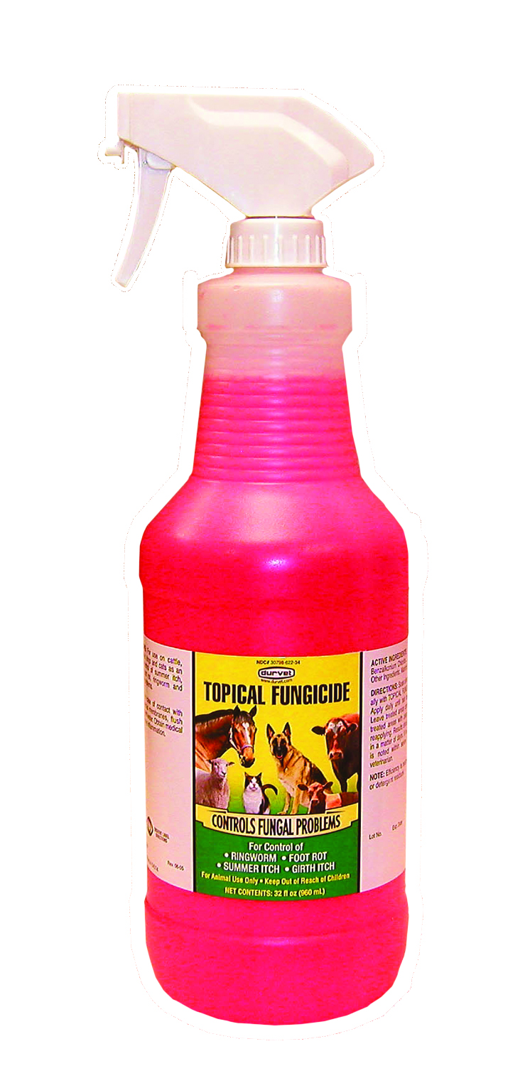Topical Fungicide W/spray 16 oz