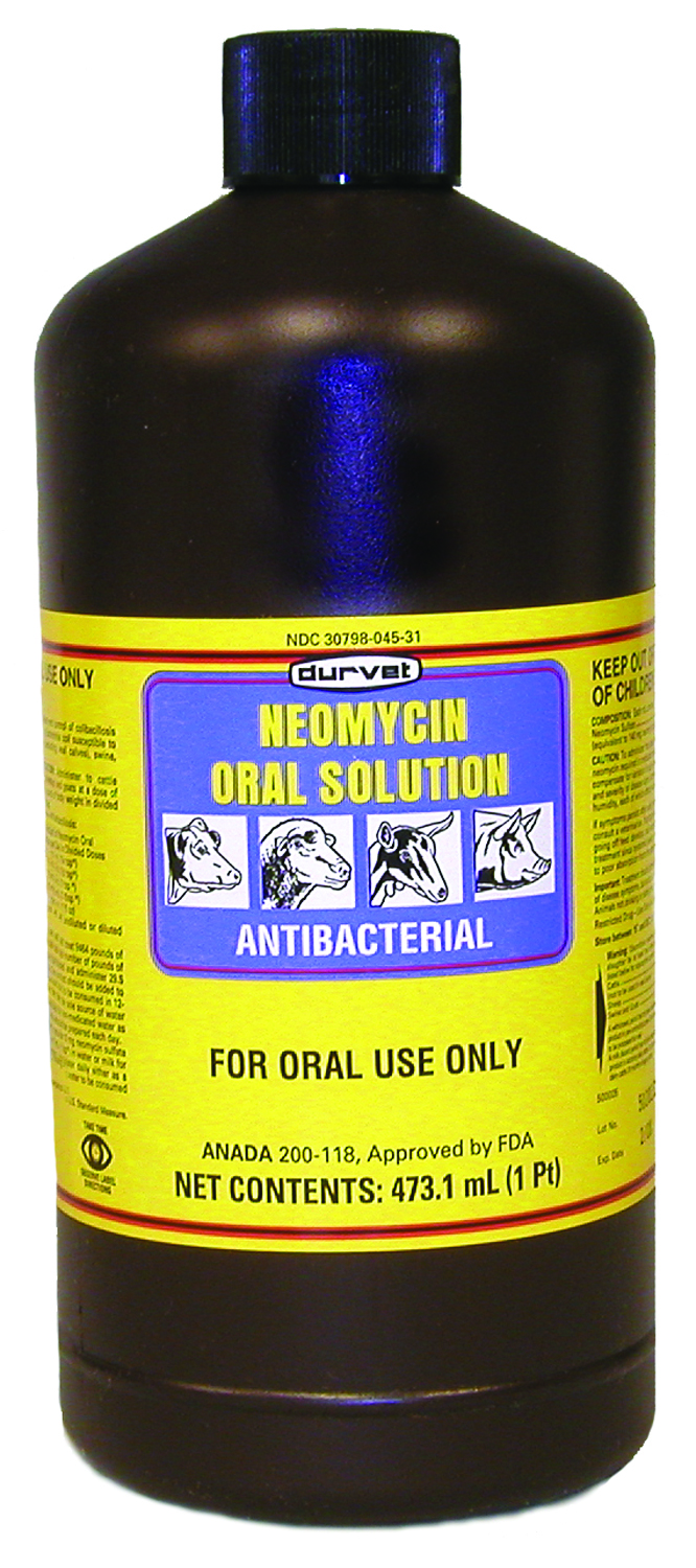 Neomycin Solution 16 oz