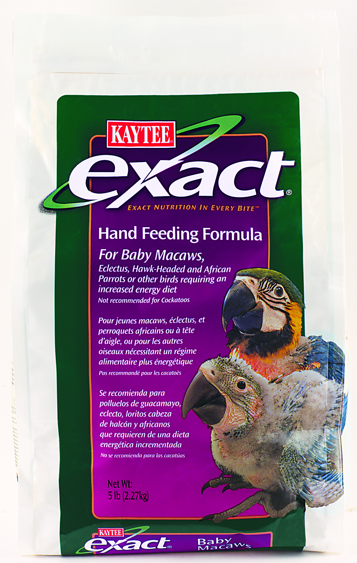 Exact Handfed Macaw, 5 lb