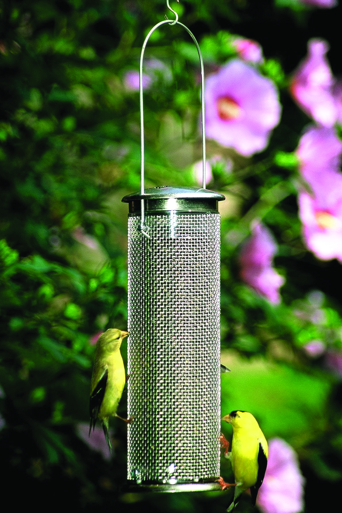 Nyjer Mesh Tube Feeder