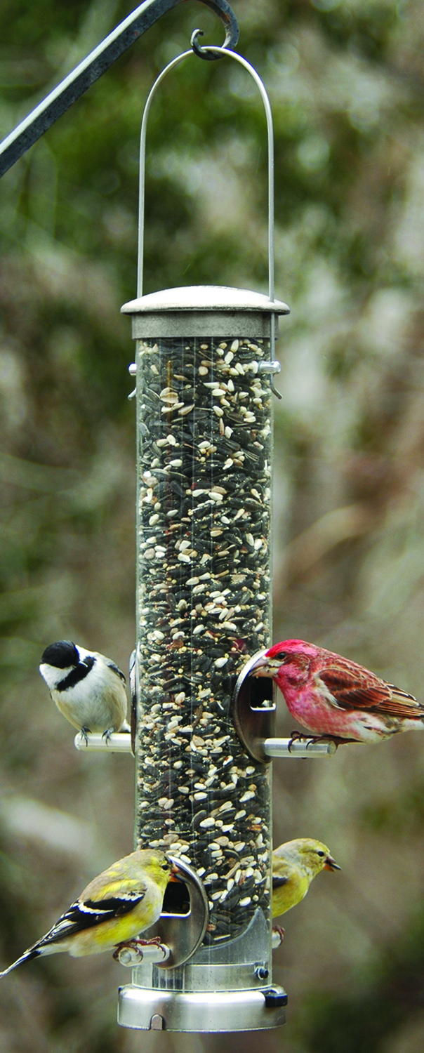 QUICK-CLEAN SEED TUBE FEEDER