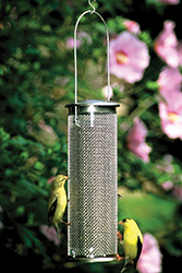 Nyjer Mesh Tube Feeder