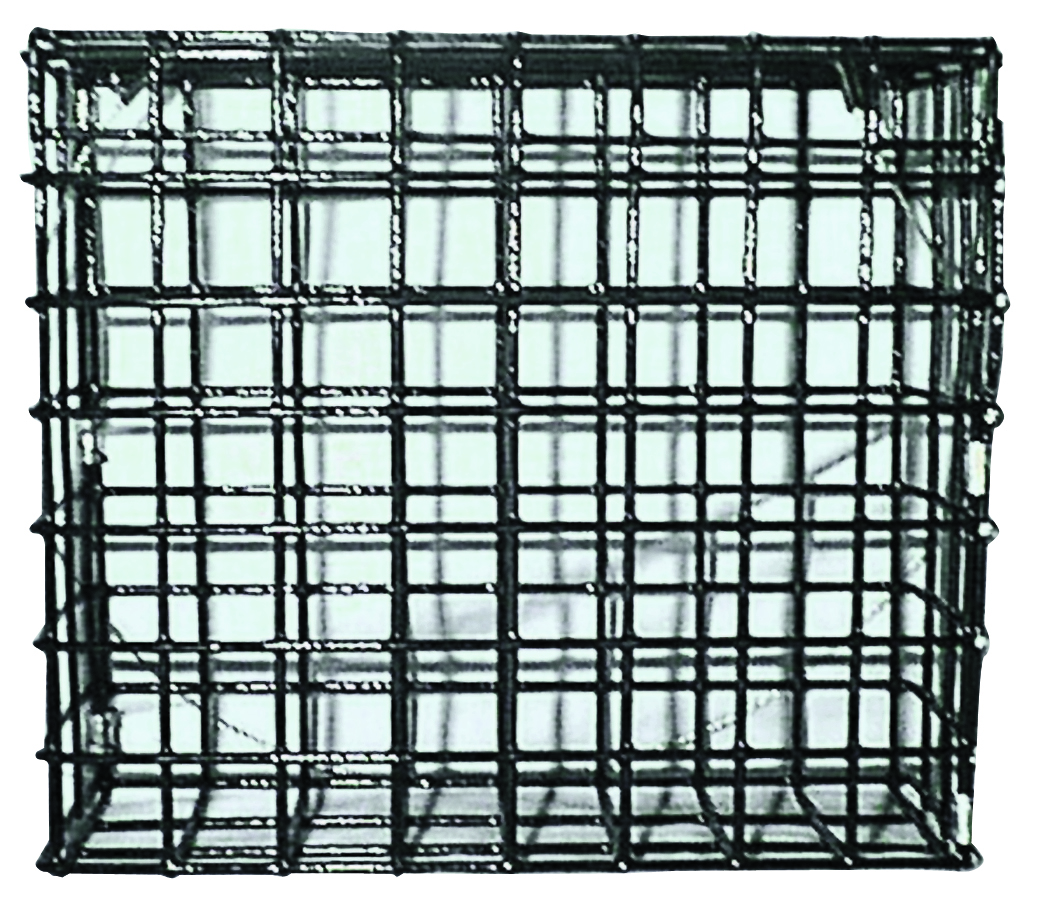 Large Seed Cake Holder 2lb.