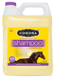 CORONA SHAMPOO