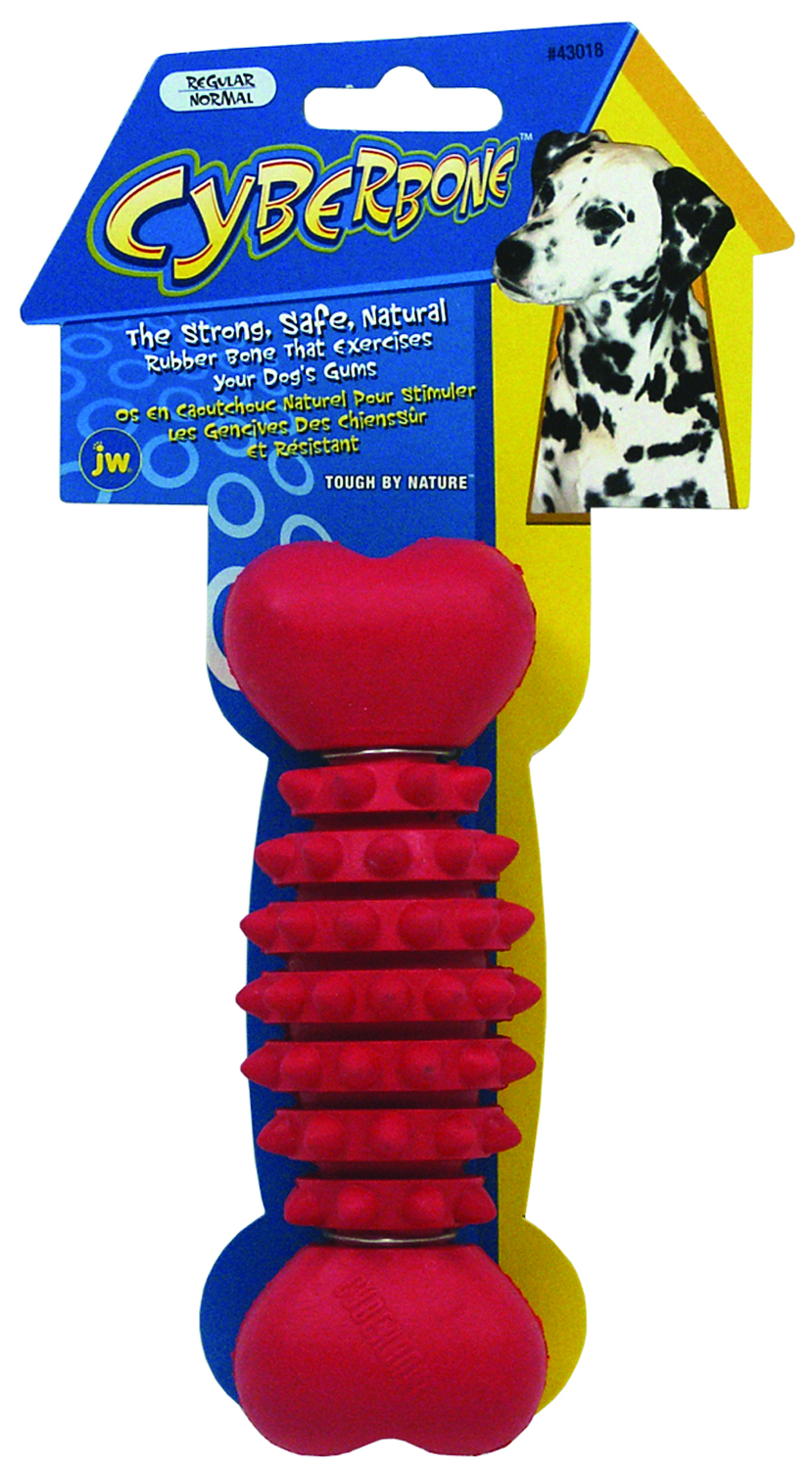 Cyber Bone Regular Dog Toy