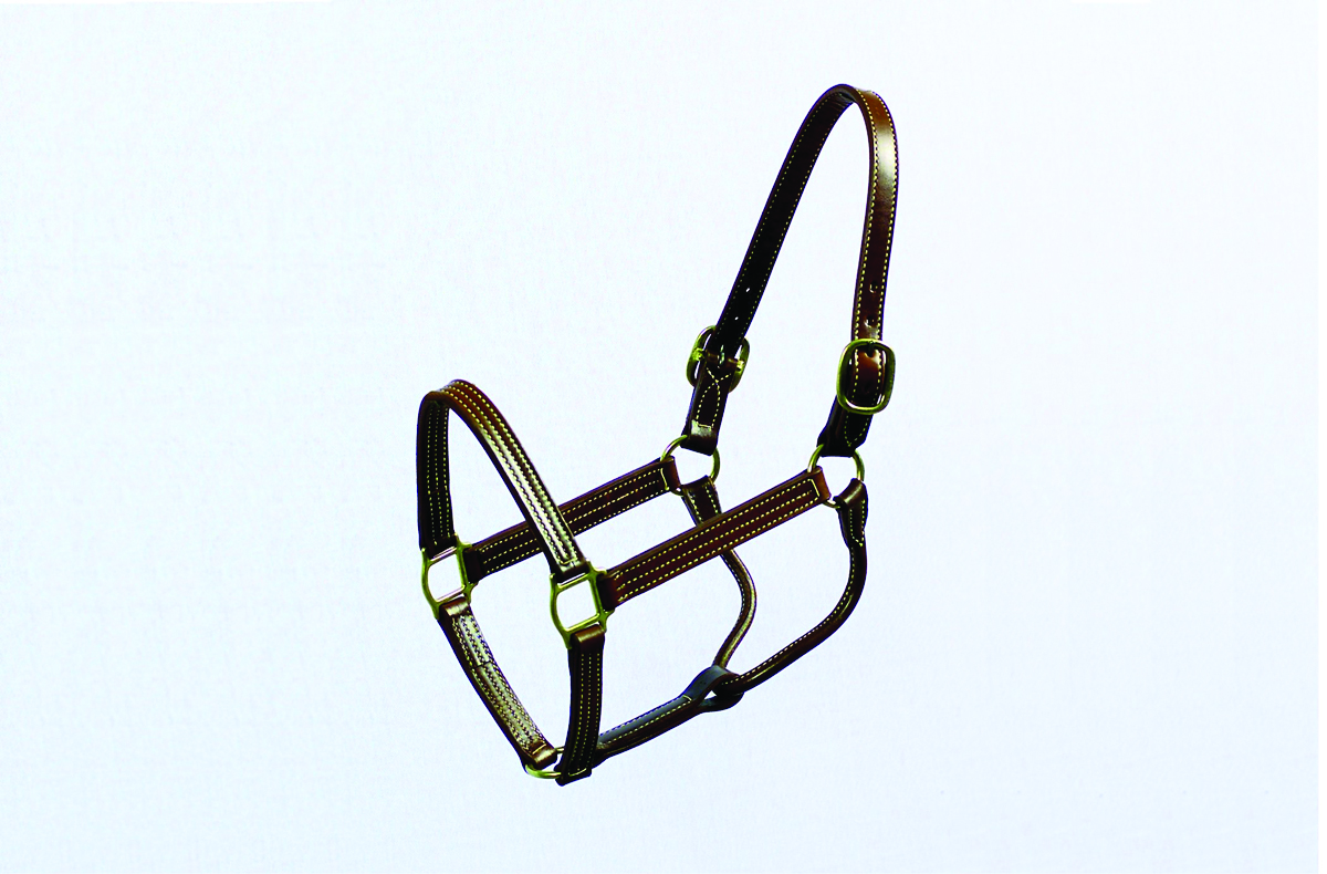 Leather Horse Halter