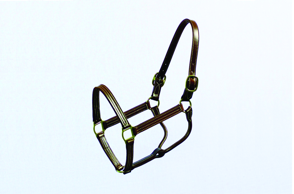 Leather Cob Halter