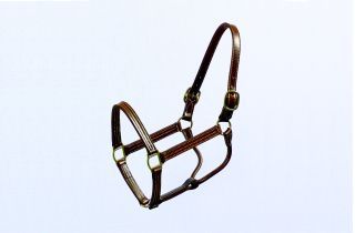 Leather Horse Halter