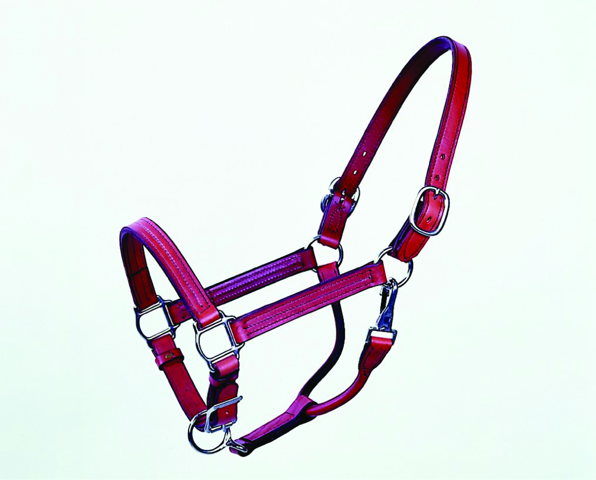 Leather Stallion Halter