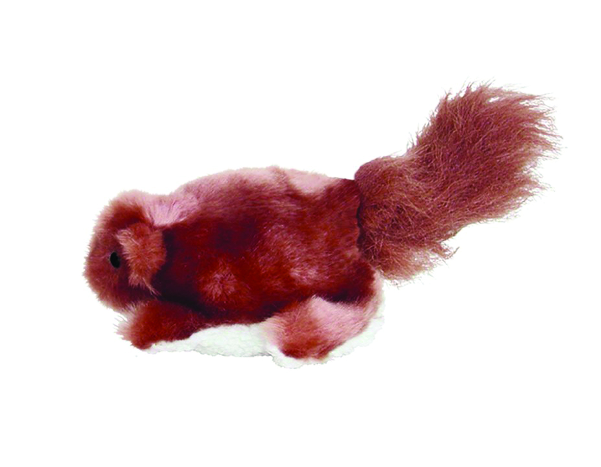 Dr Noys squirrel - small plush dog toy