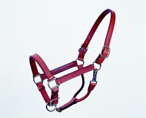 Leather Stallion Halter