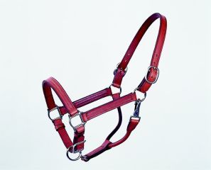 Leather Yearling Halter