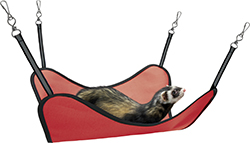 Ferret Hammock