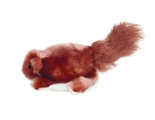 Dr Noys squirrel - small plush dog toy