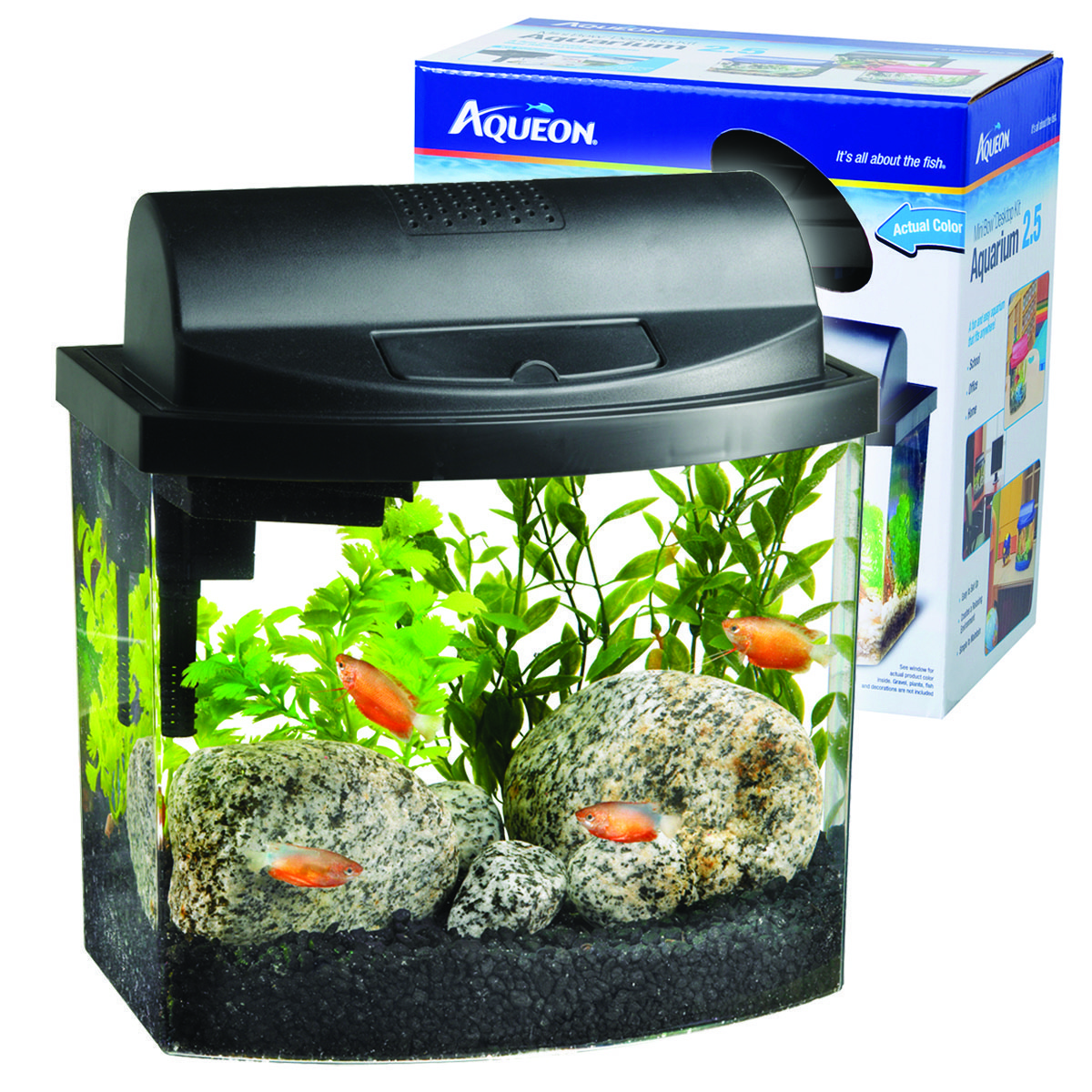 MINI BOW DESKTOP AQUARIUM KIT