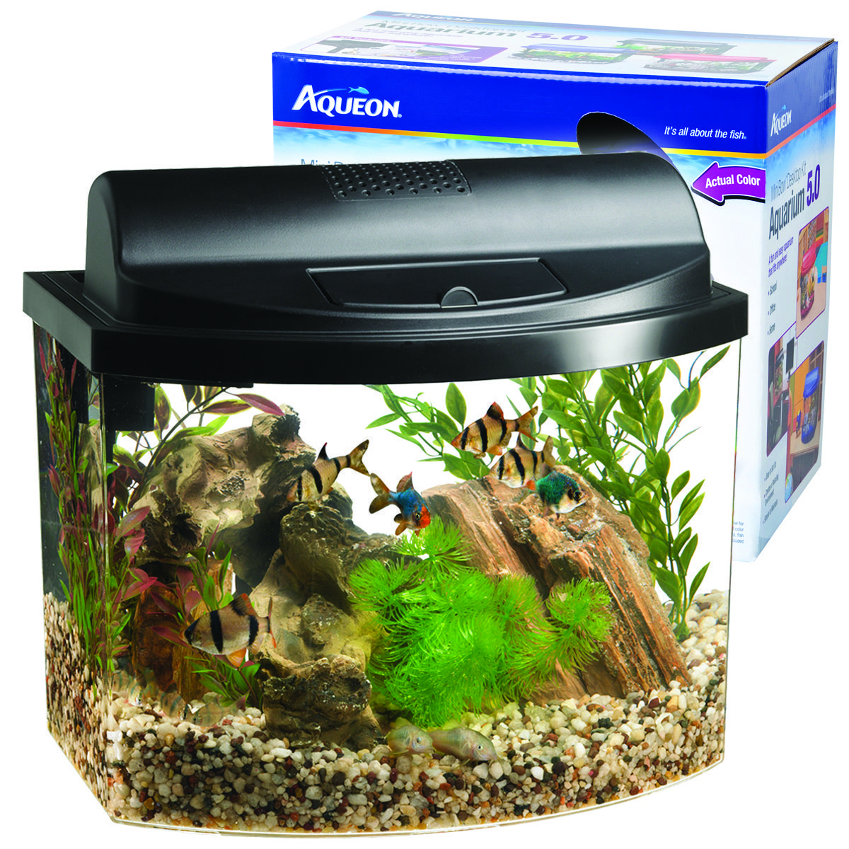 MINI BOW DESKTOP AQUARIUM KIT