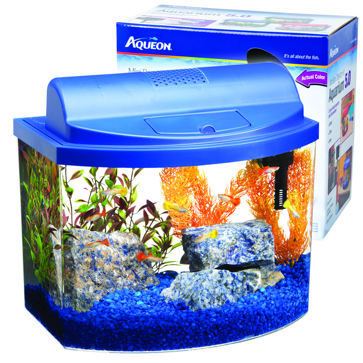 MINI BOW DESKTOP AQUARIUM KIT