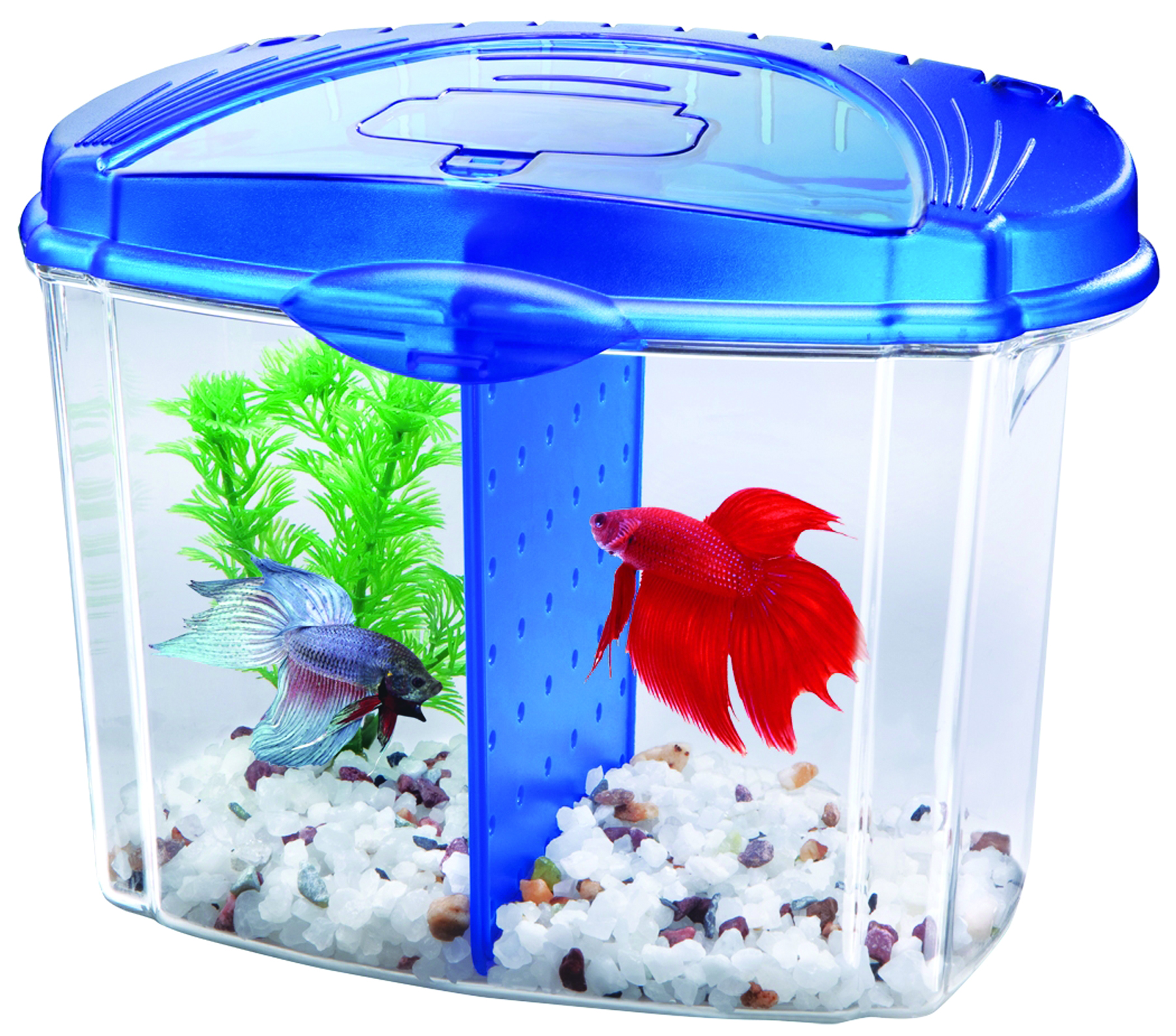 BETTA BOWL KIT