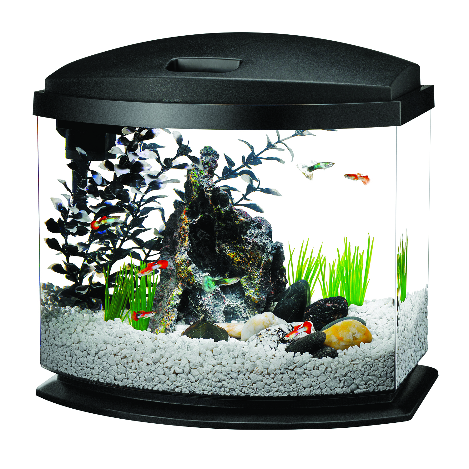 AQUEON LED MINI BOW AQUARIUM KIT