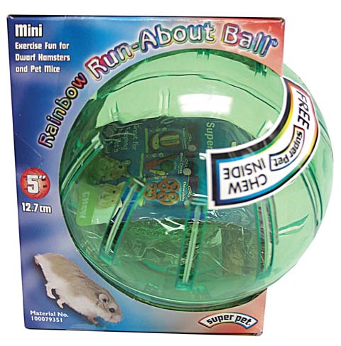 Mini Run-about Ball - Rainbow